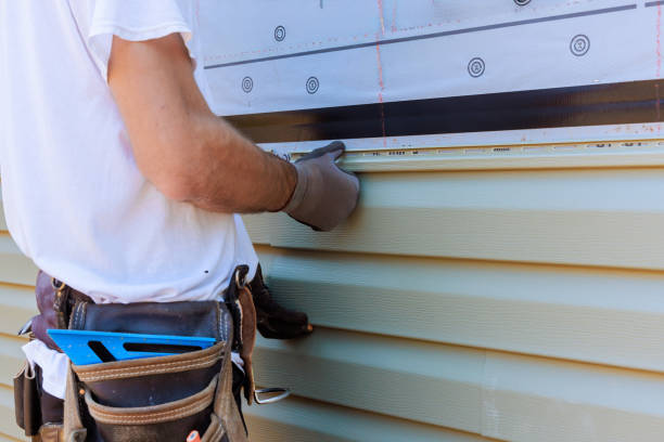Best Brick Veneer Siding  in East Bronson, FL